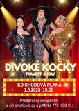 travesti show Divoké kočky