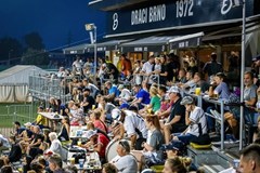 Draci Brno Baseball - sezónní permanentka 2024