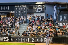 Draci Brno Baseball - sezónní permanentka 2024