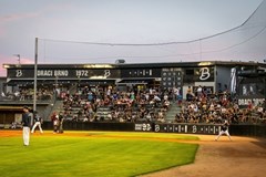 Draci Brno Baseball - sezónní permanentka 2024