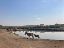 Uganda - země plná krásy i chudoby