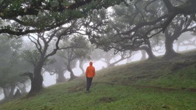 MADEIRA - přechod na těžko  