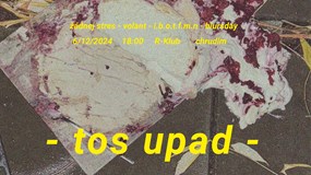 - tos upad -benefiční koncert pro Petra, kamaráda, co upad