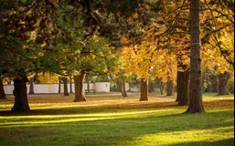 Zámecký park, Ždánice, Ždánice