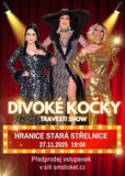 Travesti Divoké kočky v Hranicích