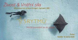 5Rytmů® taneční dílna ŽIVOST A VNITŘNÍ SÍLA - Chris Camp BE