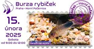 Burza rybiček - Praha (Horní Počernice) - Únor 2025