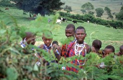 Národní parky Keni a Tanzanie, tropický ostrov Zanzibar