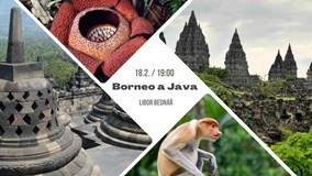 Borneo a Jáva