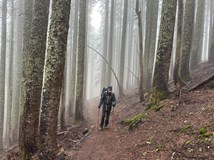 Z Mexika do Kanady: Pacifická hřebenovka Kanady