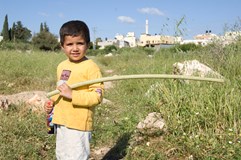 Izrael a Palestina: kořeny konfliktu