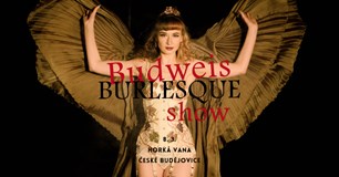 Budweis Burlesque Show