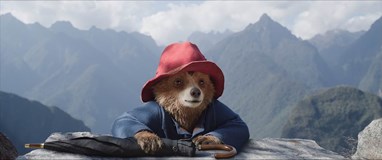 Paddington v džungli