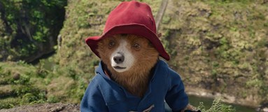 Paddington v džungli