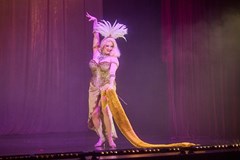 DIVINE BURLESQUE: DIAMONDS & DIVAS SHOW