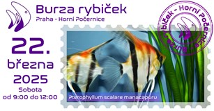 Burza rybiček - Praha (Horní Počernice) - Březen 2025