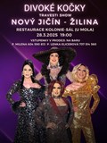 Travesti show Divoké kočky v Novém Jičíně