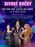 travesti show Divoké kočky v Jeseníku nad Odrou nad