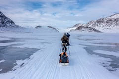 Grónsko: Zimní Arctic Circle Trail