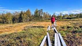 Kungsleden za čtrnáct dní