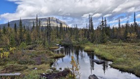 Kungsleden za čtrnáct dní