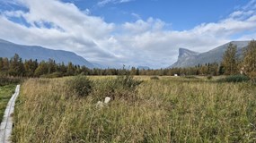 Kungsleden za čtrnáct dní