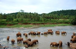 Tropické ráje Asie  - Sri Lanka  a Maledivy trochu jinak